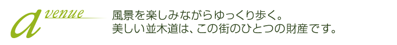 アベニュー